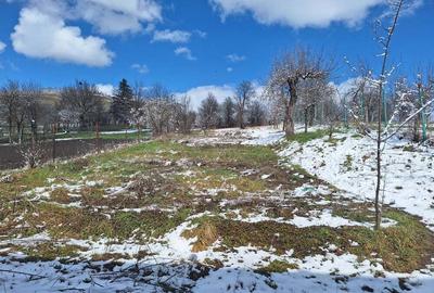 Casa + curte + gradina - 5