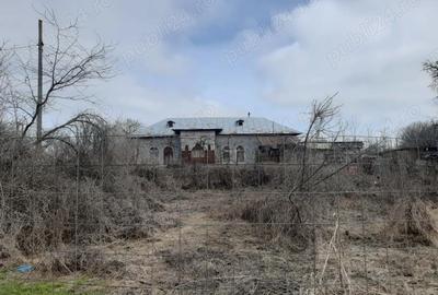 Casă cu Teren 4000 Mp în Poienarii Burchii