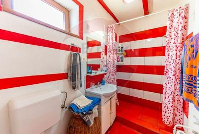 Teren 760mp + casa cu vad comercial de vanzare Zona Centrala ,Arad - 22