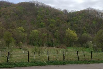 Spațiu comercial, în Boz - 4