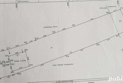 Teren de 11438 mp, în Hințești - 3
