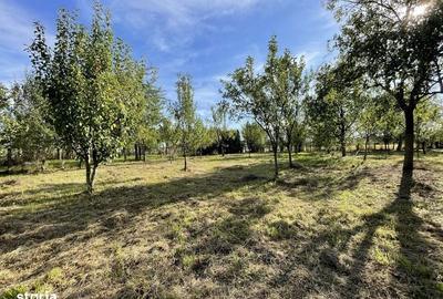 Casă cu 3 camere cu Teren 120 Mp în Central - 3