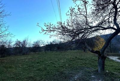 Teren Construcții intravilan de 3951 mp, în Bran