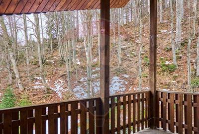 Vila/ Casa de vacanta Predeal/ piscina interioara ! - 14