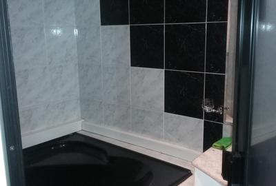 Garsonieră de închiriat pe bulevardul Decebal - 5