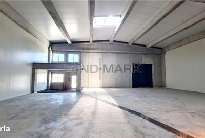 Spațiu comercial, de 523 mp, în Dumbrăvița - 1