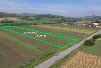 Teren de 10600 mp, în Borșa - 4