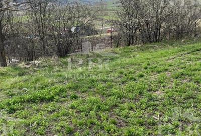 Teren extravilan de 6300 mp, în Gârbău - 7