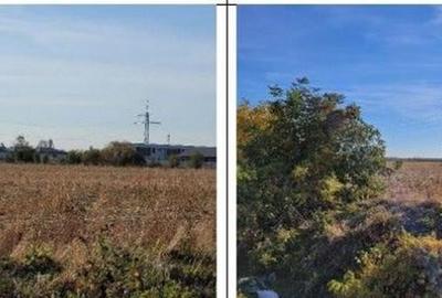 Teren intravilan 1 Decembrie, judetul Ilfov, ID: R2319723 - 4