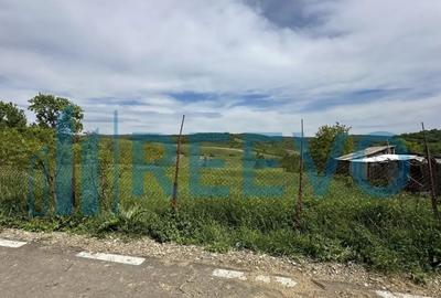 Teren de 5351 mp, în Roșiori - 1