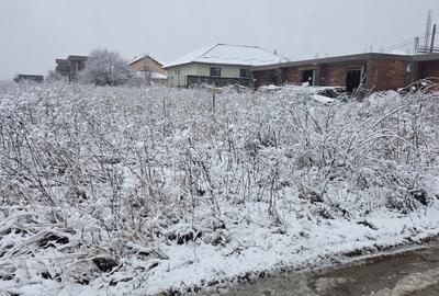 Teren de 1712 mp, în Moșoaia - 4