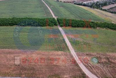 ID 7847 Teren INTRAVILAN pentru casa in Sat MINERI - 2