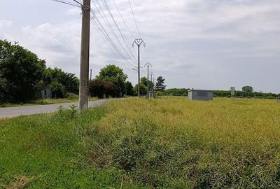 Teren de 216967 mp, în Nuci - 6