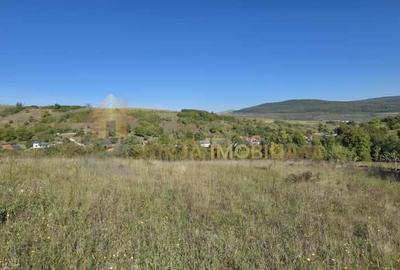 TEREN INTRAVILAN 11000 MP - 1