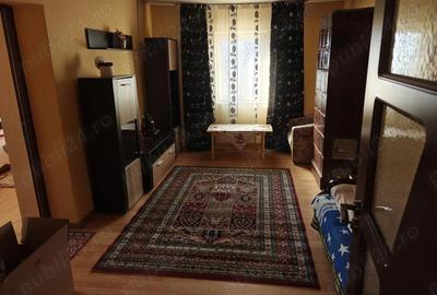 Casă cu 3 camere cu Teren 3500 Mp în Satu Mare - 5