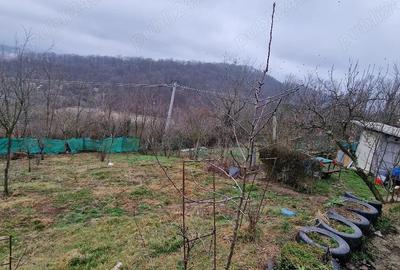 Teren de 981 mp, în Central - 4