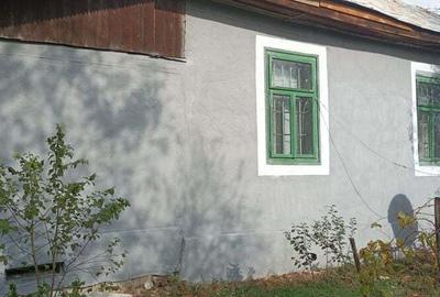 Vand casa cu curte si teren in Padina Mica, Mehedinti - 1