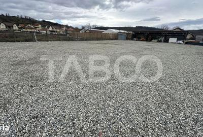 Spațiu comercial, în Șura Mare - 4