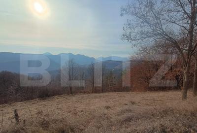 Teren extravilan, 12000 mp, curent com. Ramet - 1