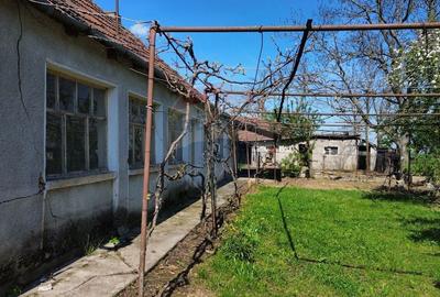 Casă individuală cu 3 camere cu Teren 5000 Mp în Craidorolț - 3