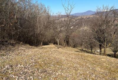 Teren de 4300 mp, în Central - 6