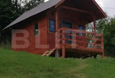 Casă cu 3 camere cu Teren 2330 Mp în Mărișel - 12
