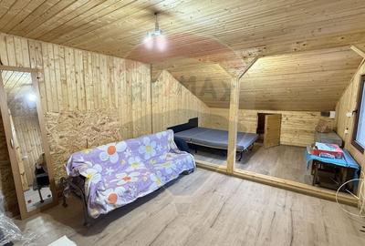 Casa / Vila cu 3 camere de inchiriat in zona Giurgiului - 9