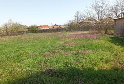 Casă cu 2 camere în Dumbrava - 5
