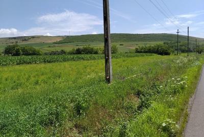 Vand 6.600 MP Intravilan, la marginea soselei asfaltate DJ 151 A, Judetul Mures. - 3