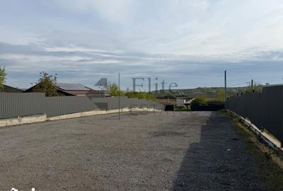 Spațiu comercial, de 750 mp, în Sânmartin - 2
