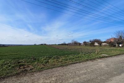 Teren Construcții intravilan de 252 mp, în Valu lui Traian - 10