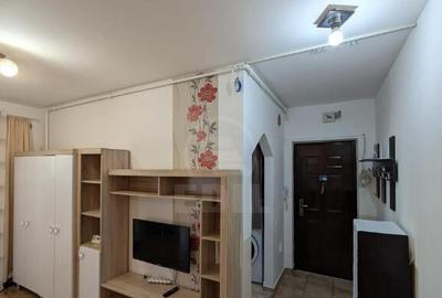 Apartament de 1 camera, zona VALEA GARBAULUI, FLORESTI - 11