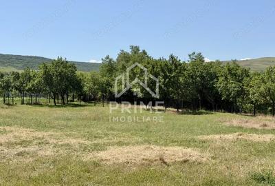 Teren de 2417 mp, în Central - 2