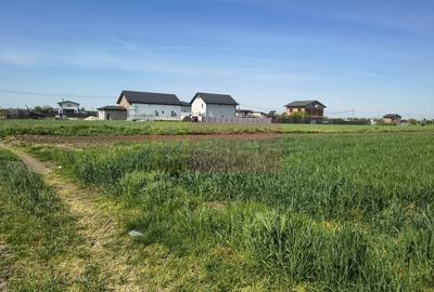 Teren Construcții intravilan de 2200 mp, în Dărăști-Ilfov - 26
