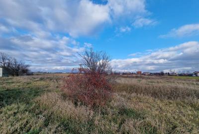 Cornetu, Str Aeroportului, teren 2470mp, deschidere 27ml, ut - 4