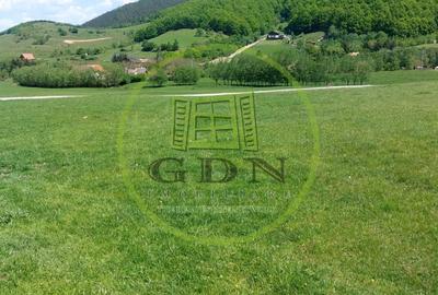 Teren extravilan 3408 mp in Gura Raului - 2