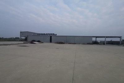 Exclusivitate Hala Padureni 400000 euro - 6