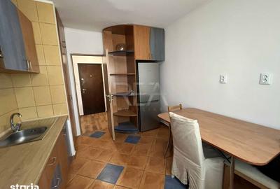 Apartament cu 2 camere decomandat, mobilat în Tineretului - 9