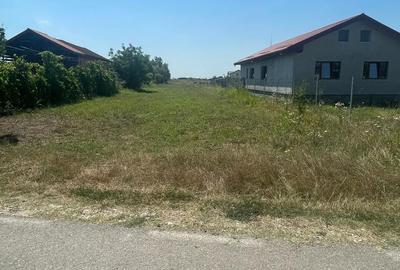 Teren de 2585 mp, în Icoana - 6