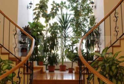 Casa 720 mp, gradina 2000 mp, 10 parcari, zona Donath! - 4