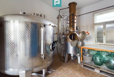 Casă individuală cu 6 camere cu Canalizare în Miniș - 49