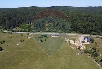 Teren agricol intravilan de 5561 mp, în Păltinoasa - 20