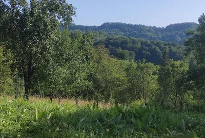 Casă cu 2 camere în Grohot - 3