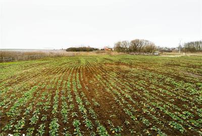 Teren de 5000 mp, în Sânnicolau Român - 9