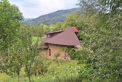 VANZARE ANSAMBLU CASUTE BRADULET ARGES - 4