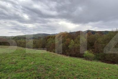 Spațiu comercial, în Vad - 3