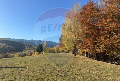 Oportunitate de investiție ! Teren de vis în Pestera - 125.370 mp - 27