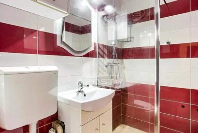 Apartament cu 2 camere semidecomandat, mobilat în Romanilor - 2