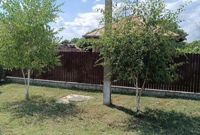 Teren de 2300 mp, în Snagov - 6