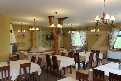 Spațiu comercial, în Vișeu de Jos - 2